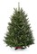 Real Christmas Trees Delivered 3 Foot Balsam Fir Tabletop Christmas Tree